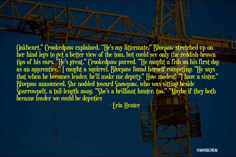 Bluepaw And Snowpaw Quotes By Erin Hunter Bluepaw And Snowpaw Quotes By Erin Hunter