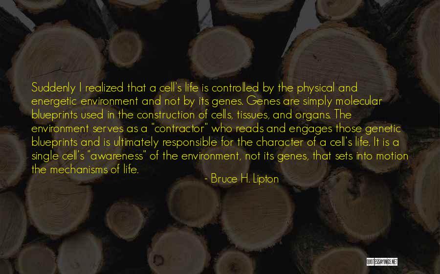 Blueprints Quotes By Bruce H. Lipton