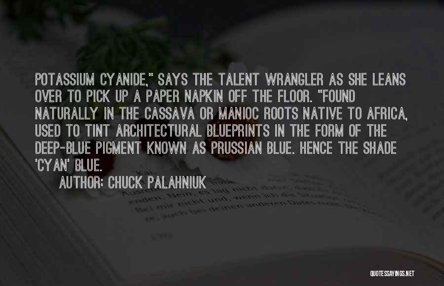 Blueprints Quotes By Chuck Palahniuk