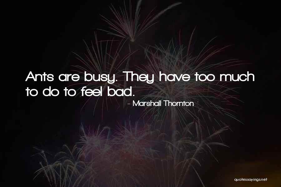 Bluest Eye Cholly Breedlove Quotes By Marshall Thornton Bluest Eye Cholly Breedlove Quotes By Marshall Thornton