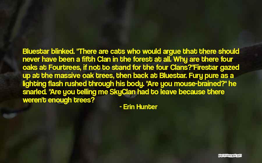 Bluestar Quotes By Erin Hunter