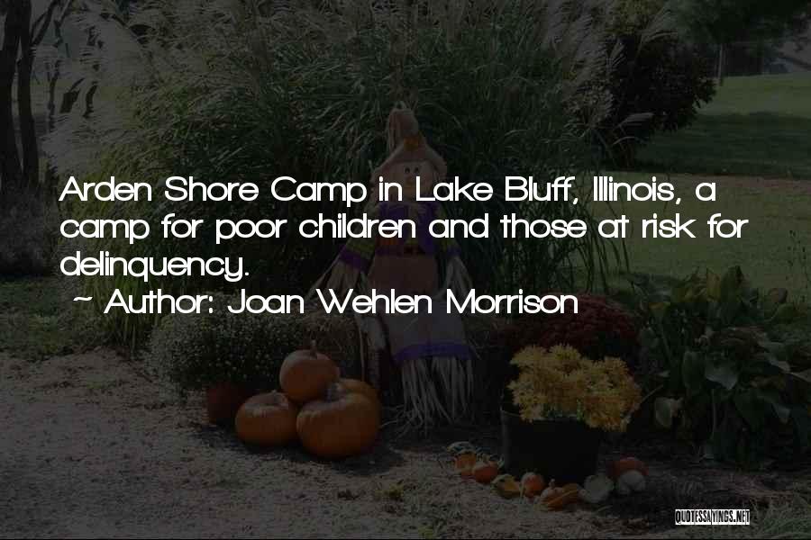 Bluff Quotes By Joan Wehlen Morrison