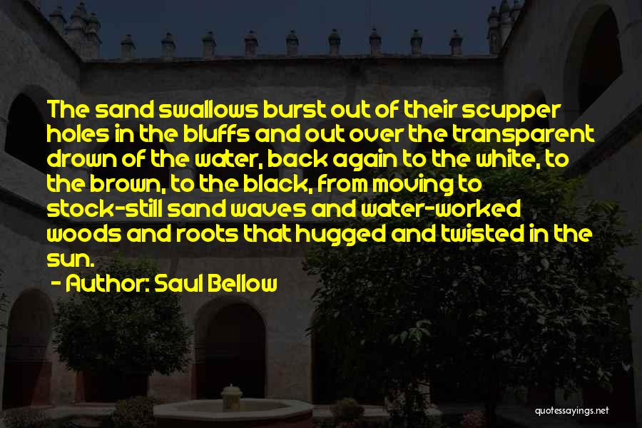 Bluffs Quotes By Saul Bellow