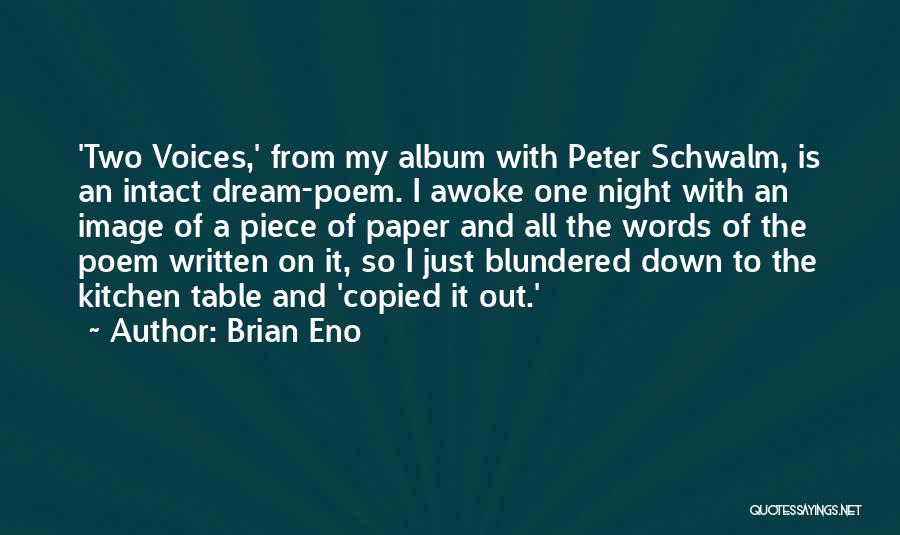 Blundered Quotes By Brian Eno
