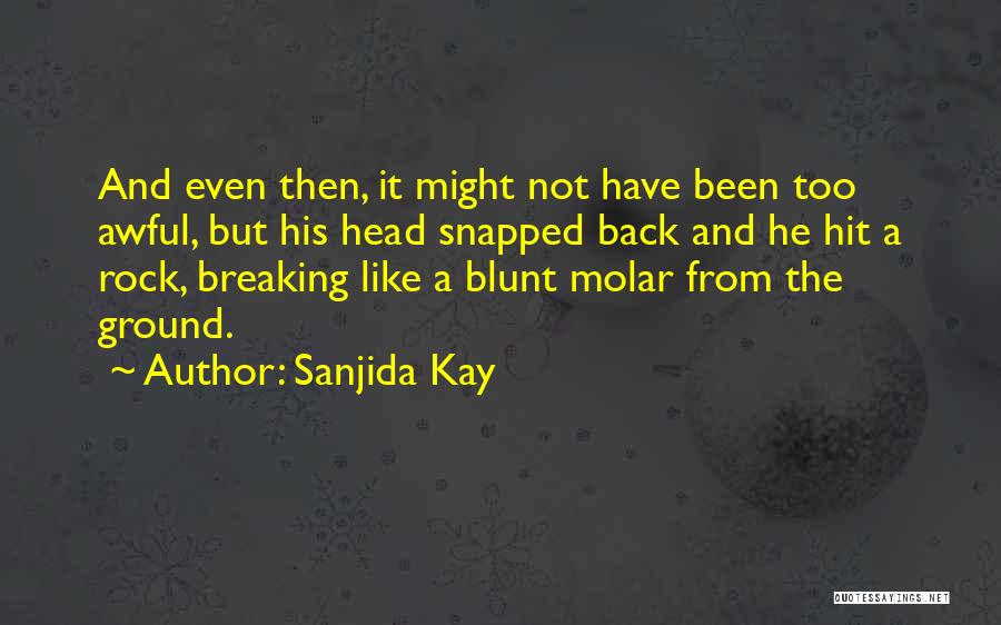 Blunt Quotes By Sanjida Kay