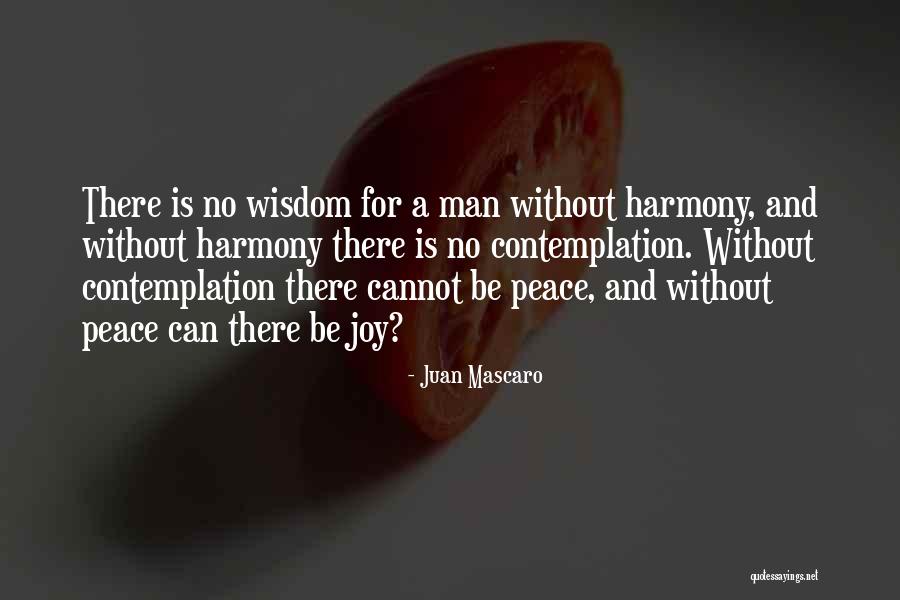 Blunting Of Labrum Quotes By Juan Mascaro Blunting Of Labrum Quotes By Juan Mascaro