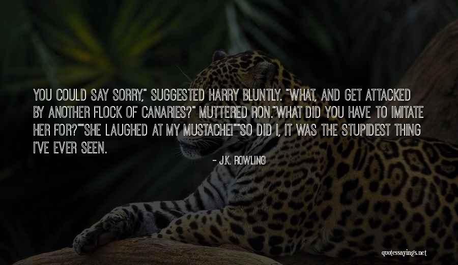 Bluntly Quotes By J.K. Rowling Bluntly Quotes By J.K. Rowling
