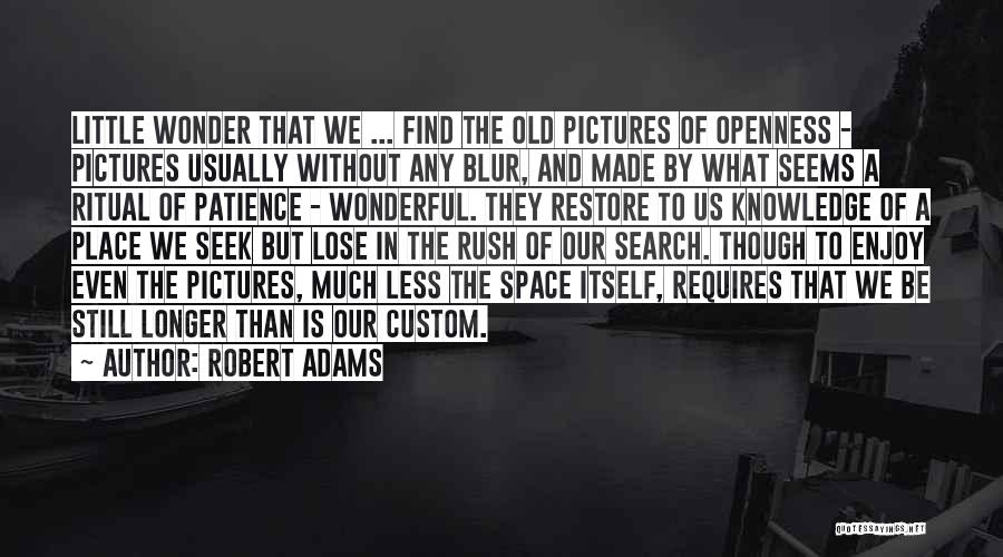 Blur Photography Quotes By Robert Adams