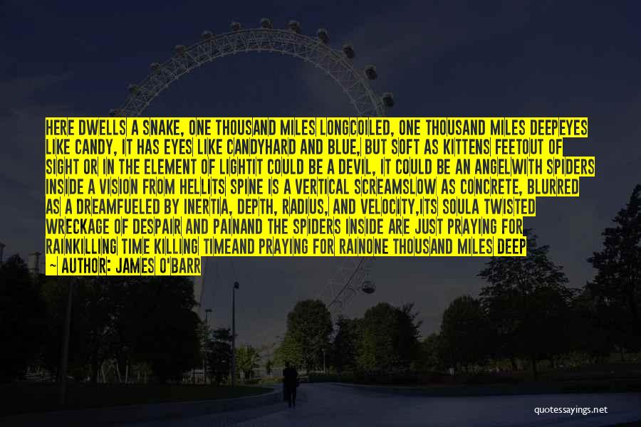 Blurred Vision Quotes By James O'Barr