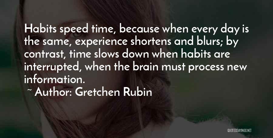 Blurs Quotes By Gretchen Rubin