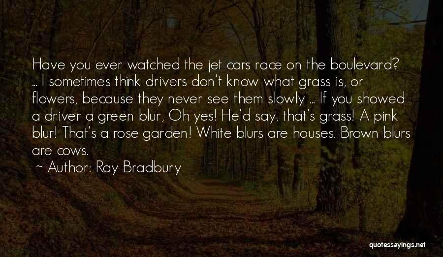 Blurs Quotes By Ray Bradbury