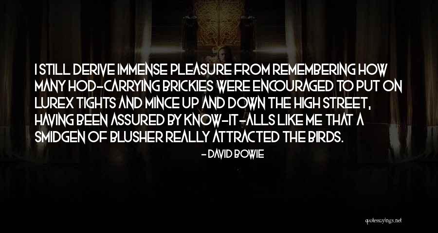 Blusher Quotes By David Bowie Blusher Quotes By David Bowie