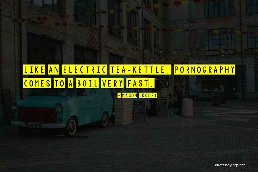 Blussen Quotes By Mason Cooley Blussen Quotes By Mason Cooley