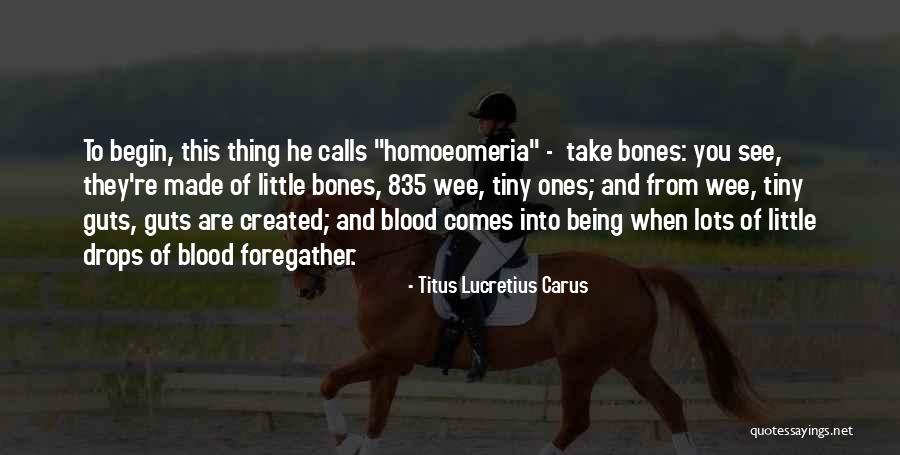 Blutige Hai Metzelei Quotes By Titus Lucretius Carus Blutige Hai Metzelei Quotes By Titus Lucretius Carus