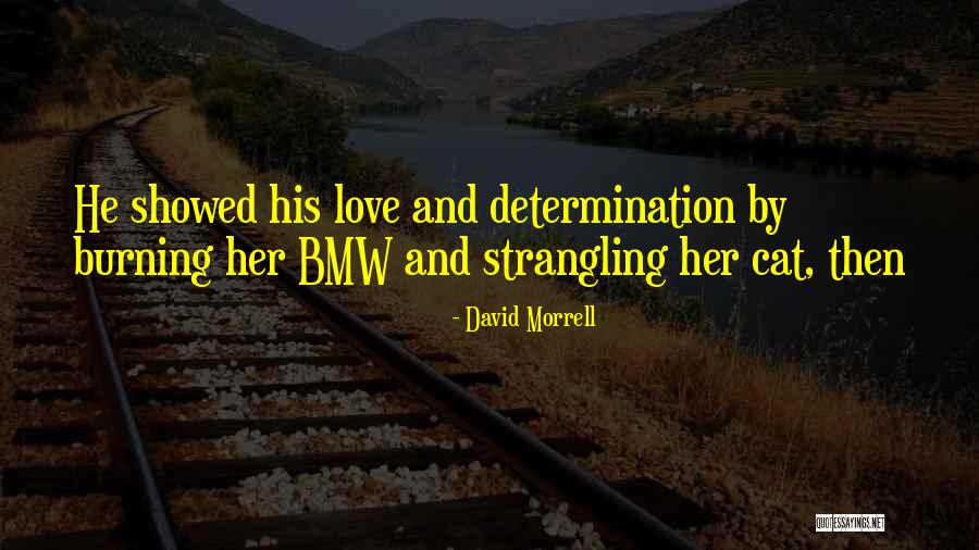 Bmw Quotes By David Morrell Bmw Quotes By David Morrell