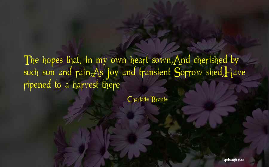 Bnz Insurance Quotes By Charlotte Bronte Bnz Insurance Quotes By Charlotte Bronte