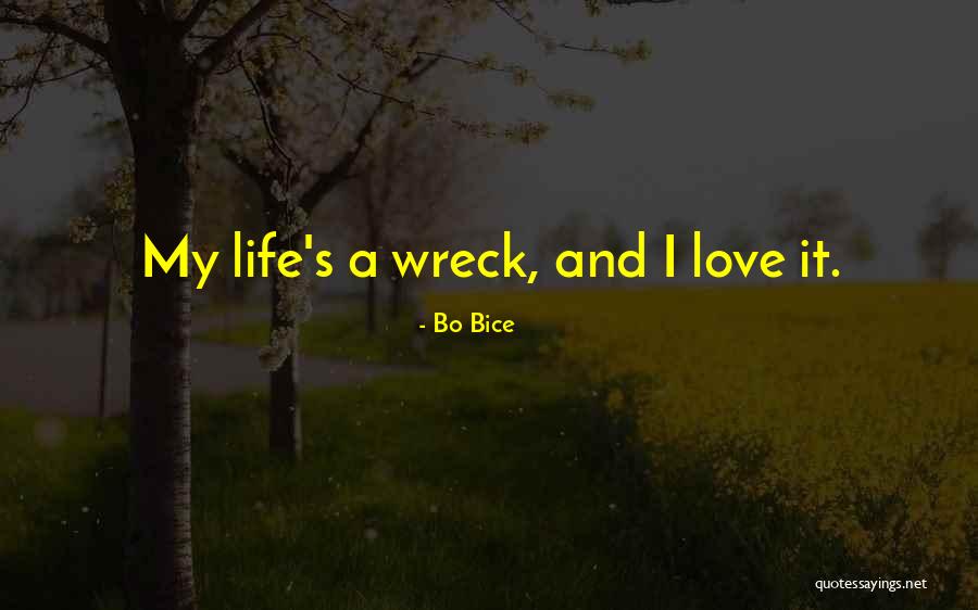 Bo Bice Quotes 1600748