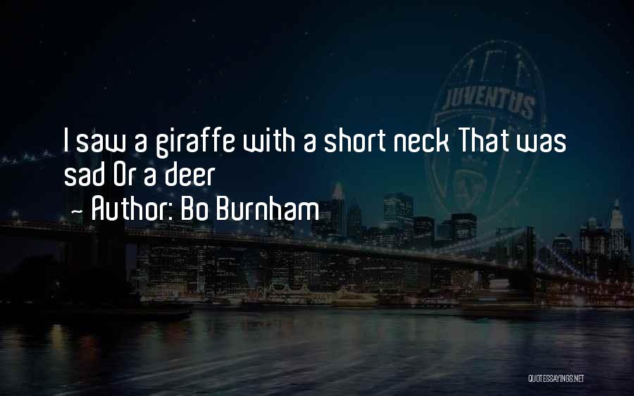 Bo Burnham Quotes 778417