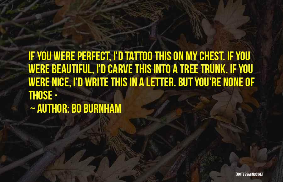 Bo Burnham Quotes 985664