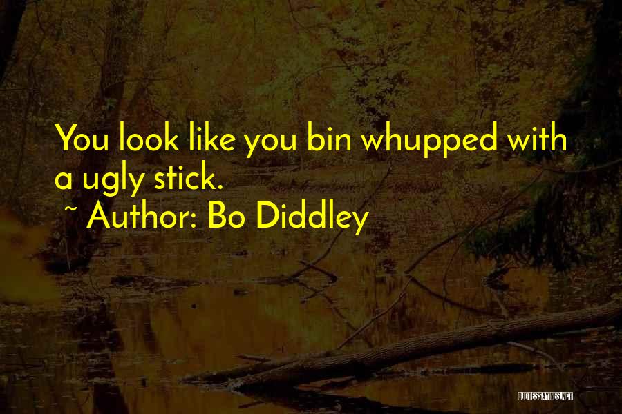 Bo Diddley Quotes 2239948