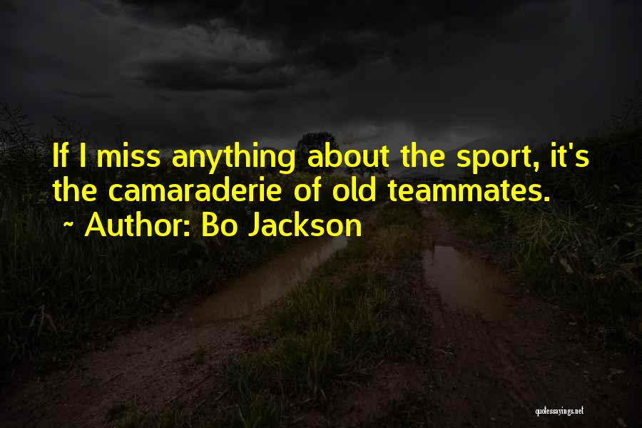 Bo Jackson Quotes 509001