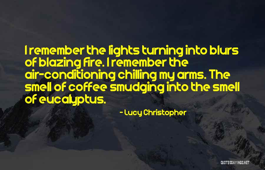 Boan Quotes By Lucy Christopher Boan Quotes By Lucy Christopher