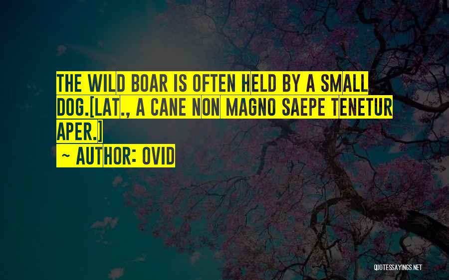 Boar Quotes By Ovid