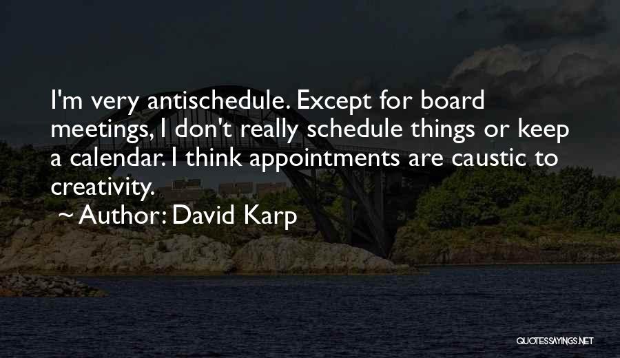 Board Meetings Quotes By David Karp