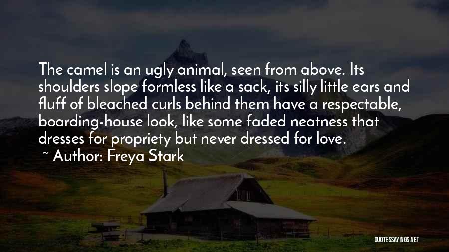 Boarding House Quotes By Freya Stark