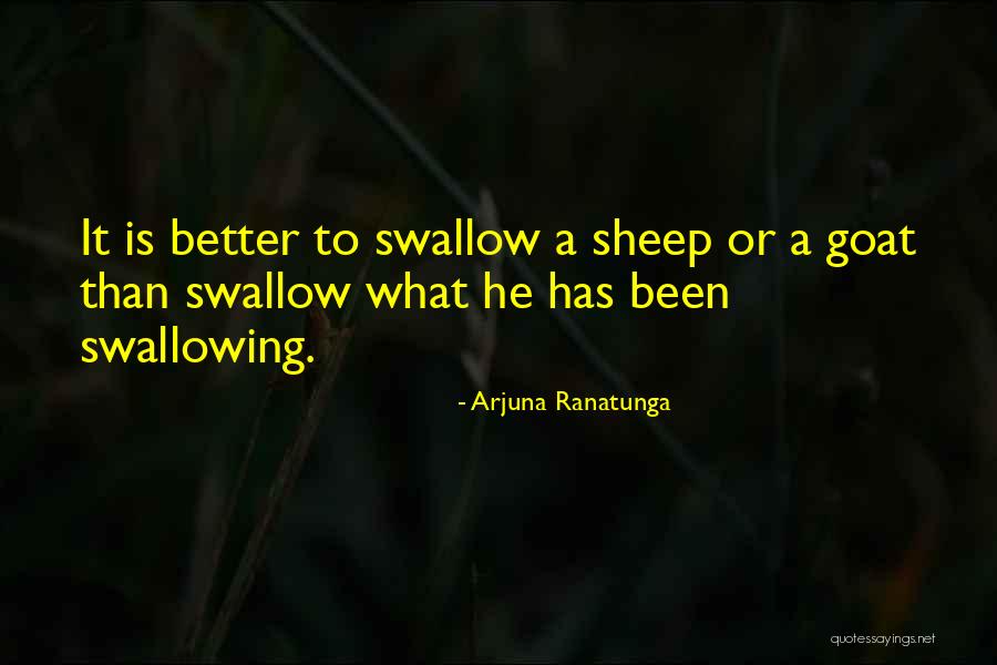 Boardshorts Mens Quotes By Arjuna Ranatunga Boardshorts Mens Quotes By Arjuna Ranatunga