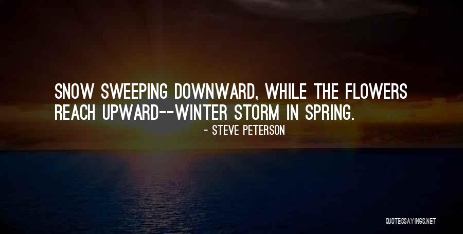 Boardwalk Empire Eddie Kessler Quotes By Steve Peterson Boardwalk Empire Eddie Kessler Quotes By Steve Peterson