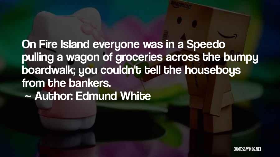 Boardwalk Quotes By Edmund White