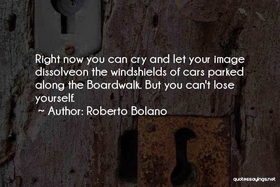 Boardwalk Quotes By Roberto Bolano