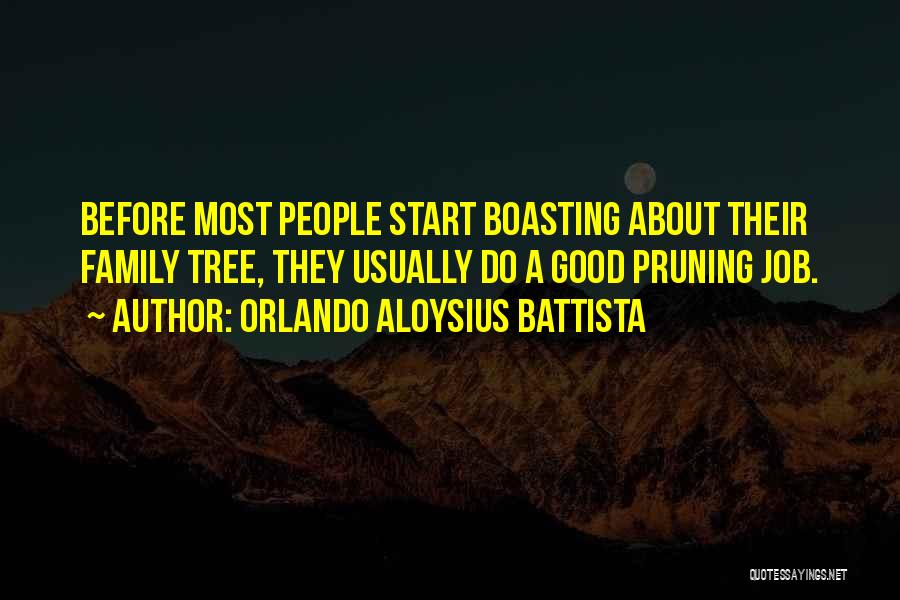 Boasting Quotes By Orlando Aloysius Battista