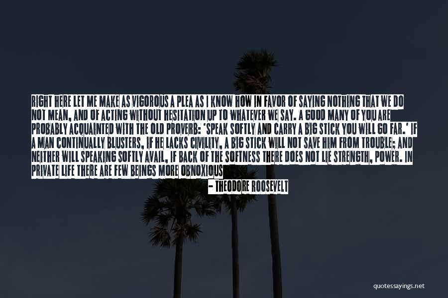 Boasting Quotes By Theodore Roosevelt Boasting Quotes By Theodore Roosevelt