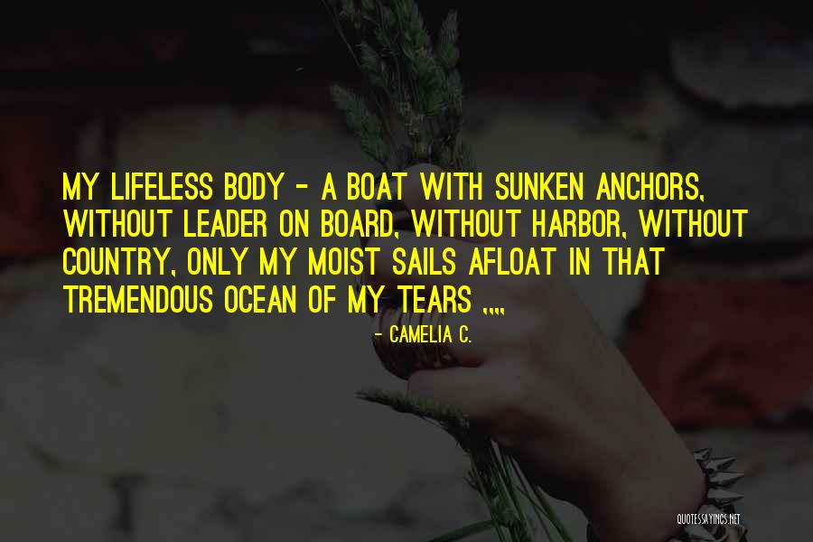 Boat Ocean Quotes By Camelia C. Boat Ocean Quotes By Camelia C.