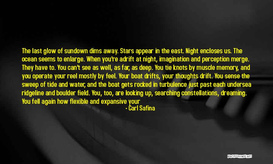 Boat Quotes By Carl Safina Boat Quotes By Carl Safina