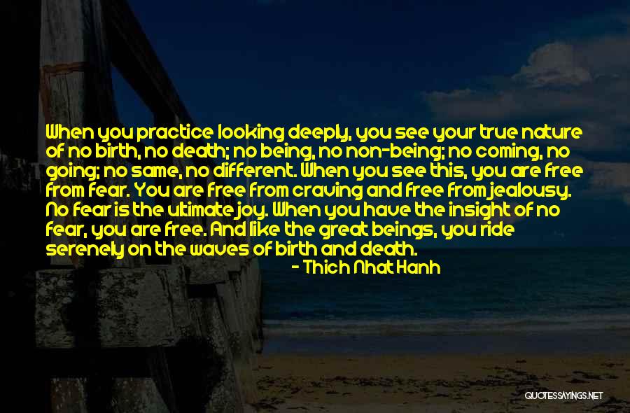 Boatloads Of Cross Quotes By Thich Nhat Hanh Boatloads Of Cross Quotes By Thich Nhat Hanh