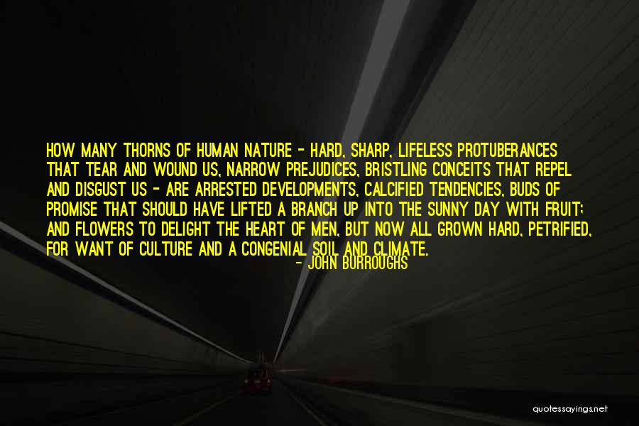 Boatloads Quotes By John Burroughs Boatloads Quotes By John Burroughs