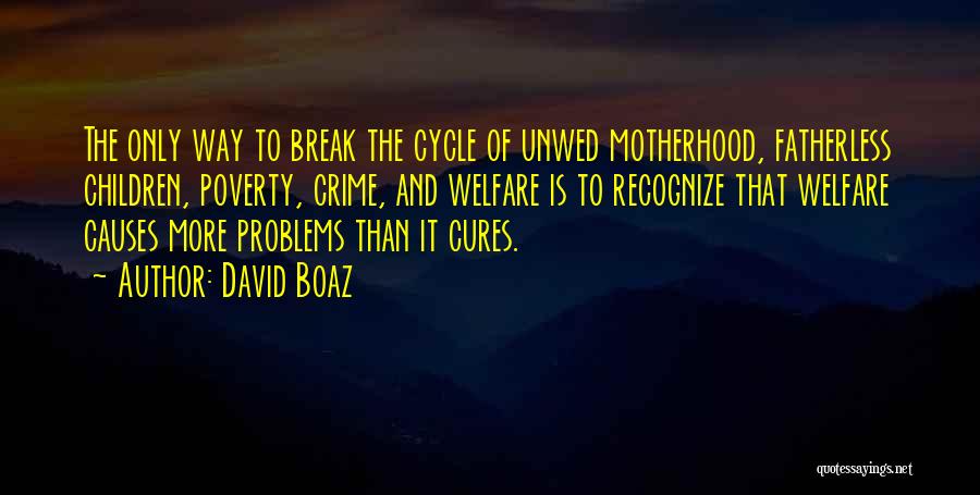 Boaz Quotes By David Boaz