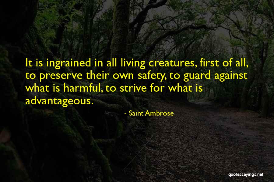 Bob Burger Bob Belcher Quotes By Saint Ambrose Bob Burger Bob Belcher Quotes By Saint Ambrose