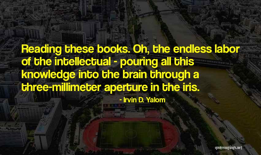 Bob Darrell Quotes By Irvin D. Yalom Bob Darrell Quotes By Irvin D. Yalom