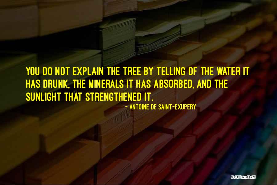 Bob Ewell In To Kill A Mockingbird With Page Numbers Quotes By Antoine De Saint-Exupery Bob Ewell In To Kill A Mockingbird With Page Numbers Quotes By Antoine De Saint-Exupery