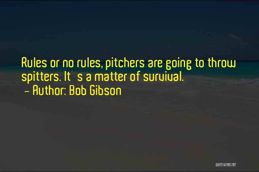 Bob Gibson Quotes 1324119