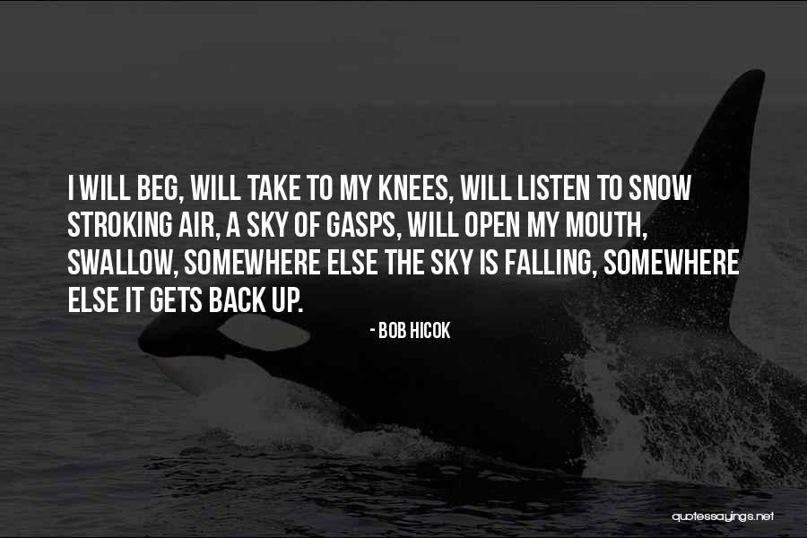 Bob Hicok Quotes 402676 Bob Hicok Quotes 402676