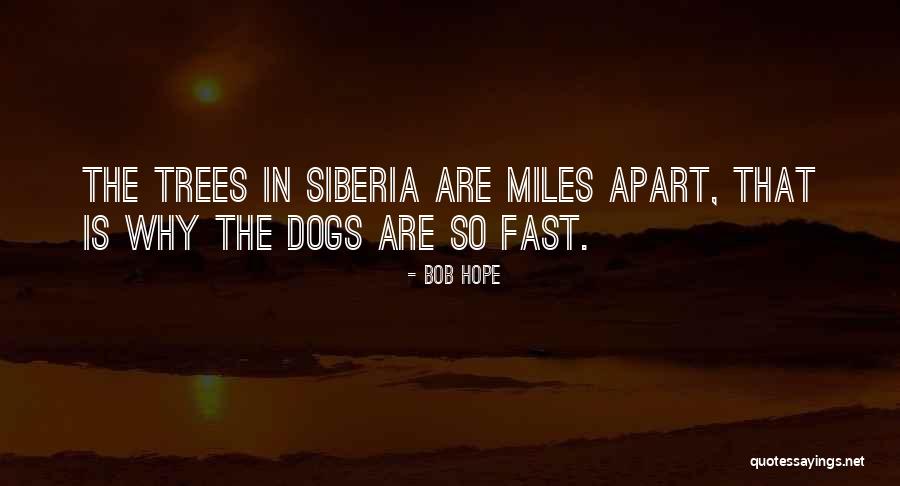 Bob Hope Quotes 2117869