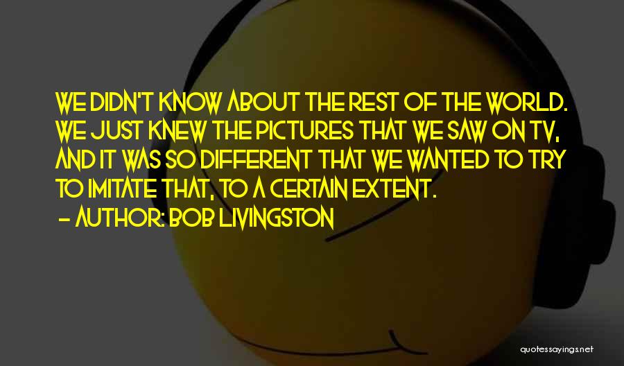 Bob Livingston Quotes 89720