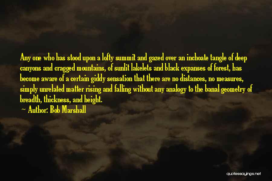 Bob Marshall Quotes 735279