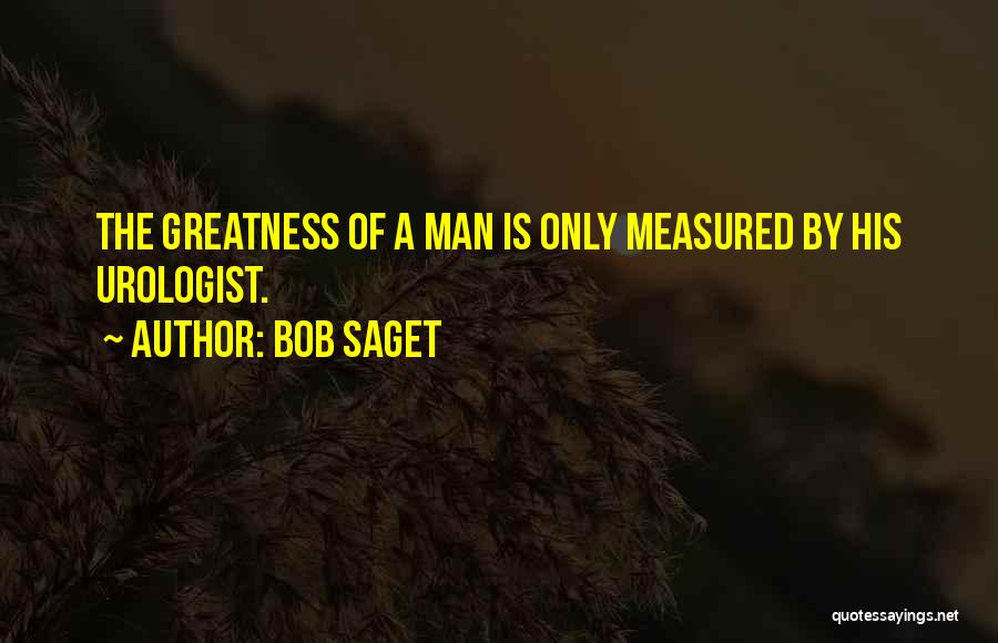 Bob Saget Quotes 1001156