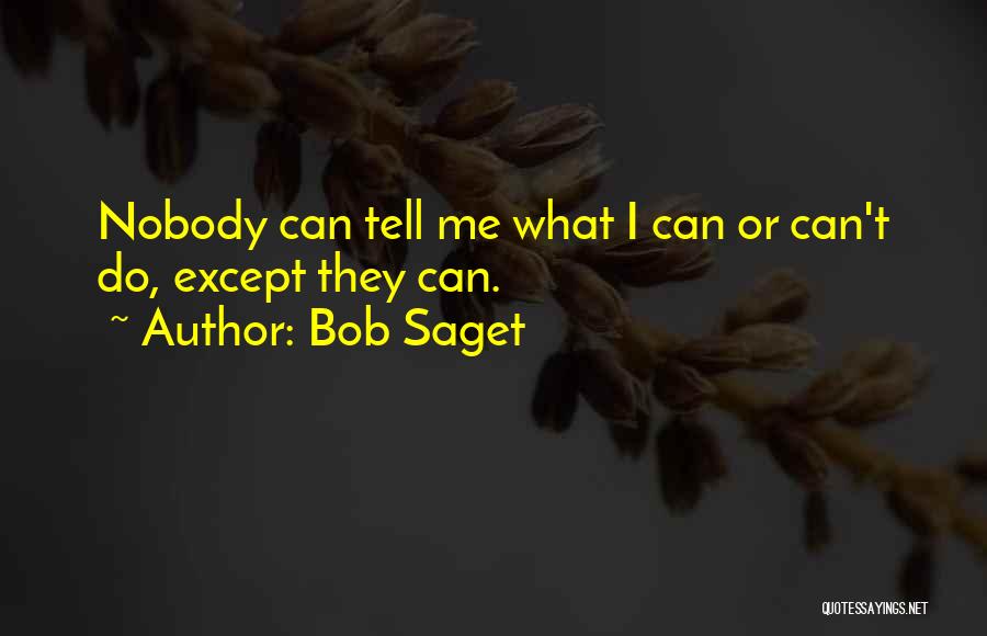 Bob Saget Quotes 1352484